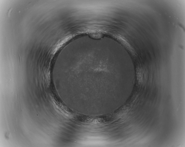 X0000103290488200808291336