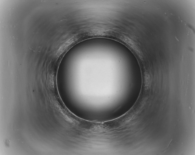 X0000103290489200808291336