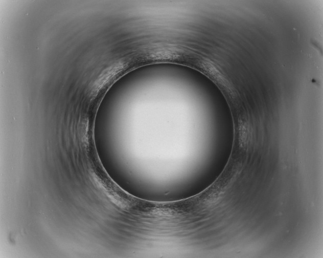 X0000103290490200808291336