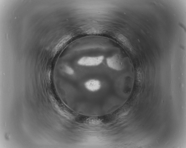 X0000103290491200808291336