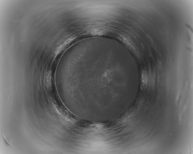 X0000103290492200808291336