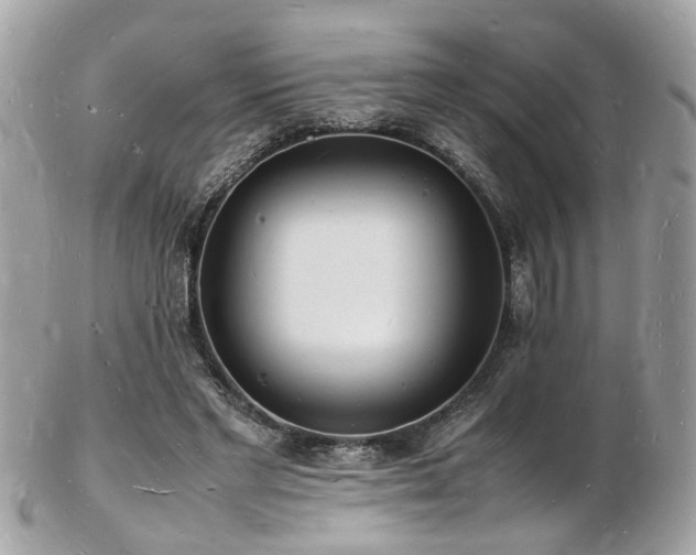 X0000103290493200808291336