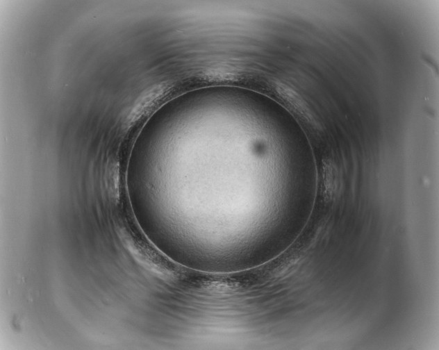 X0000103290494200808291336