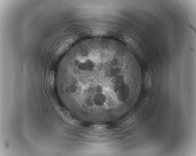 X0000103290495200808291336