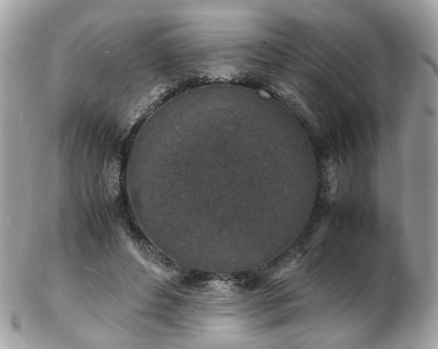 X0000103290496200808291336