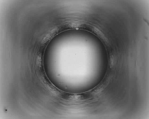 X0000103290497200808291336