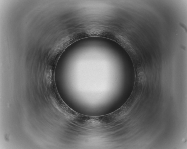 X0000103290498200808291336