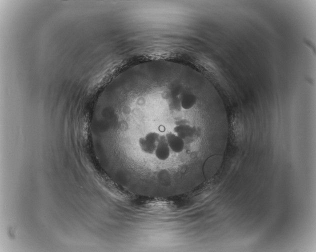 X0000103290499200808291336