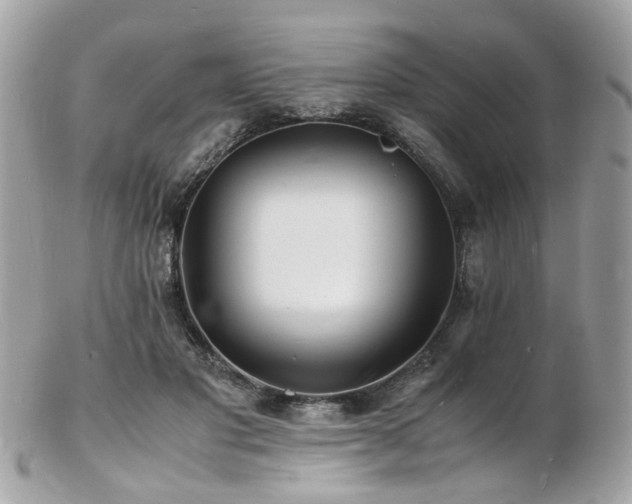 X0000103290501200808291336