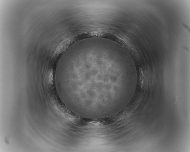 X0000103290502200808291336