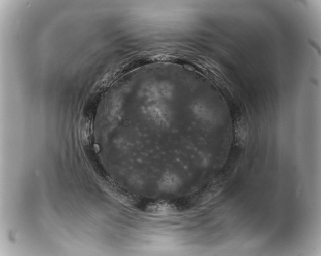 X0000103290503200808291336