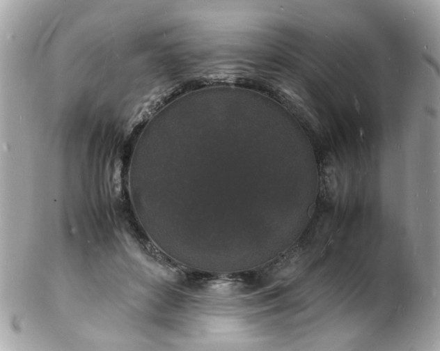 X0000103290504200808291336