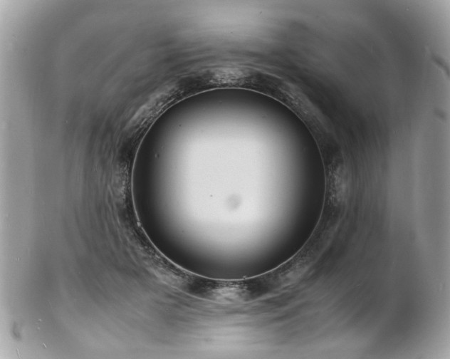 X0000103290505200808291336