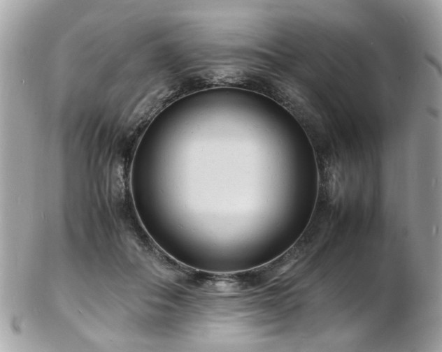 X0000103290506200808291336