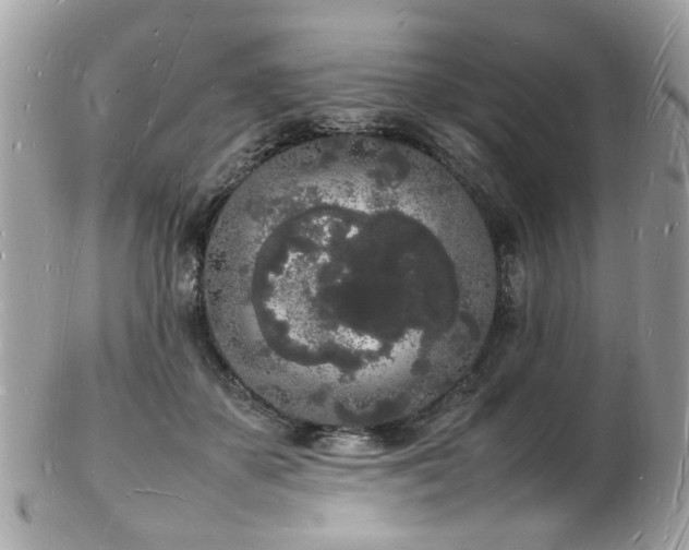 X0000103290507200808291336