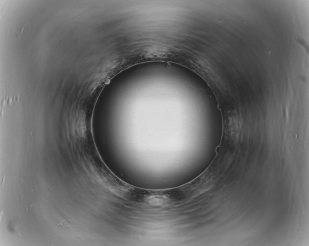 X0000103290508200808291336