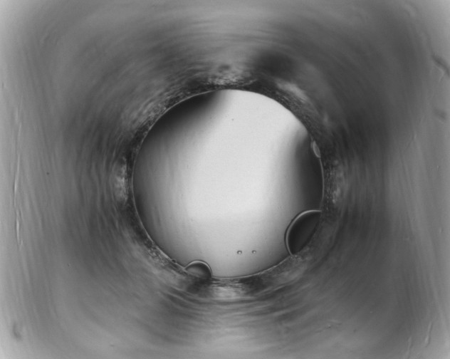 X0000103290510200808291336