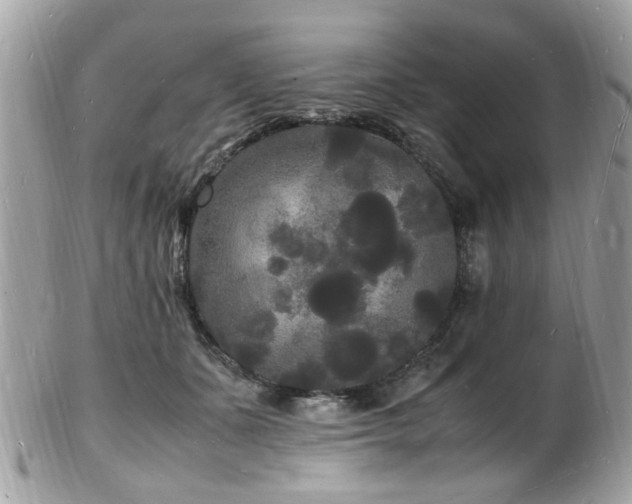 X0000103290511200808291336