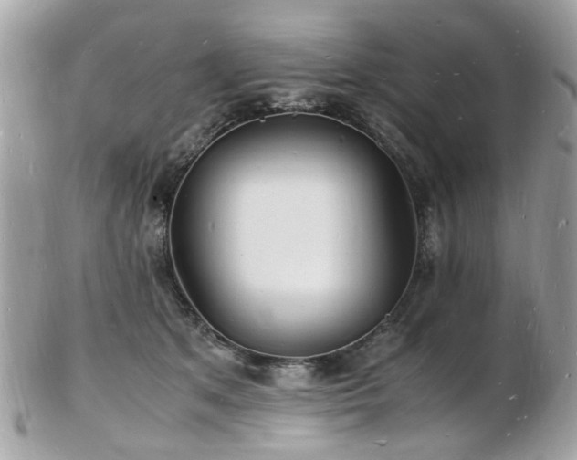 X0000103290513200808291336