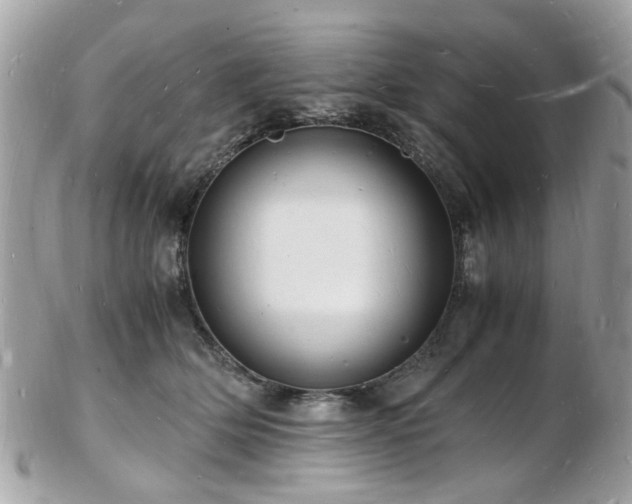 X0000103290514200808291336