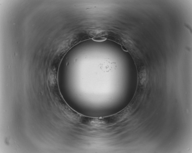 X0000103290515200808291336