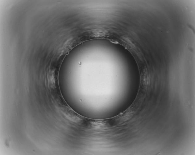 X0000103290516200808291336