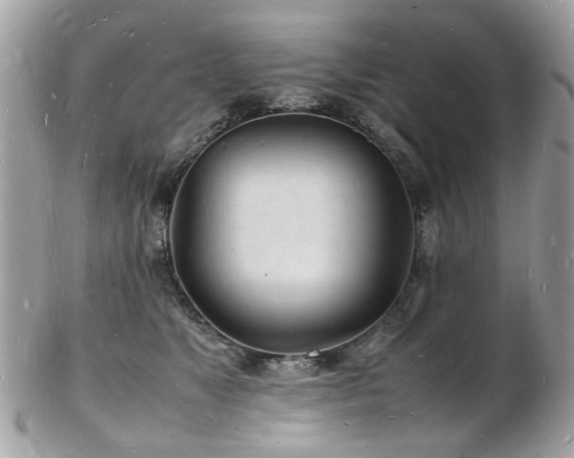 X0000103290517200808291336