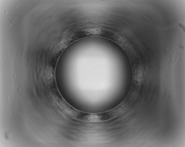 X0000103290518200808291336