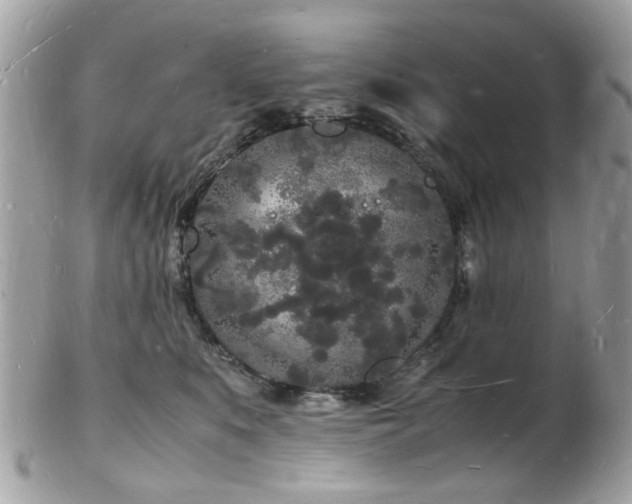 X0000103290519200808291336