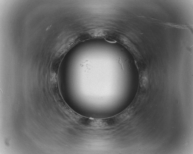 X0000103290521200808291336