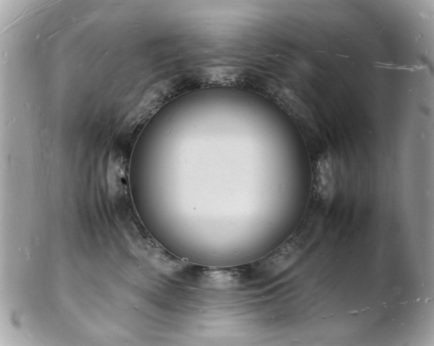 X0000103290522200808291336