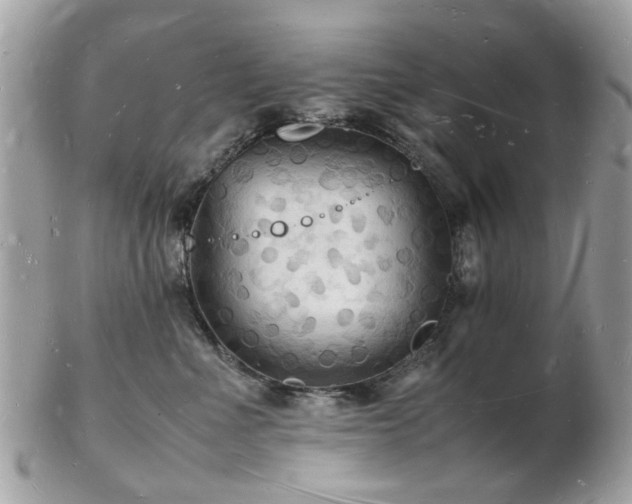 X0000103290523200808291336