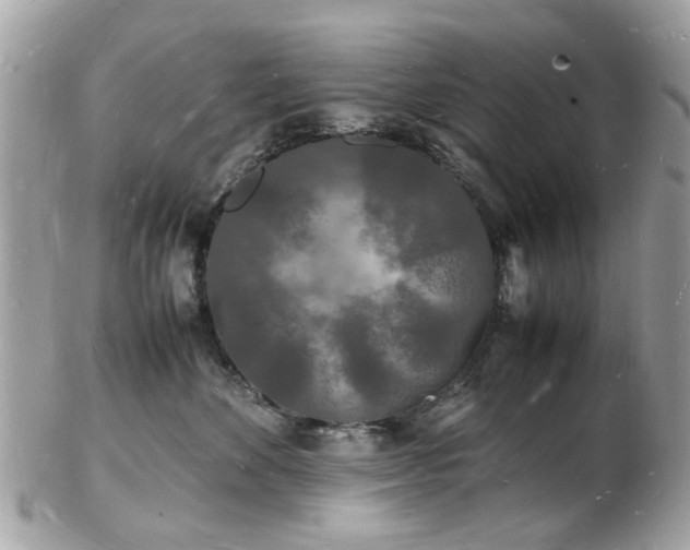 X0000103290524200808291336