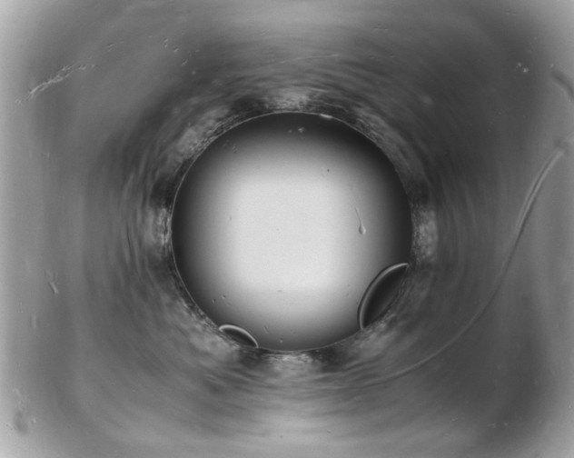 X0000103290525200808291336