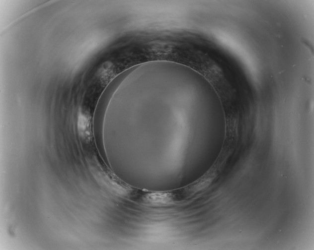 X0000103290526200808291336