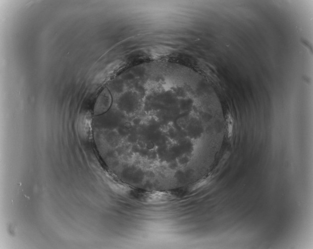 X0000103290527200808291336