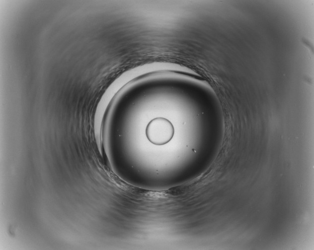 X0000103290528200808291336