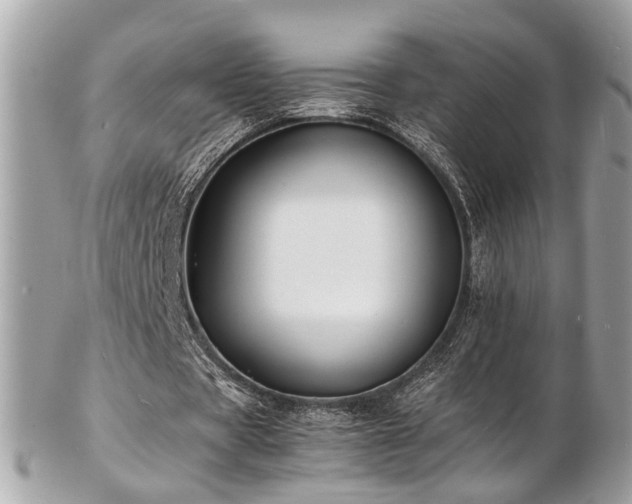 X0000103290529200808291335