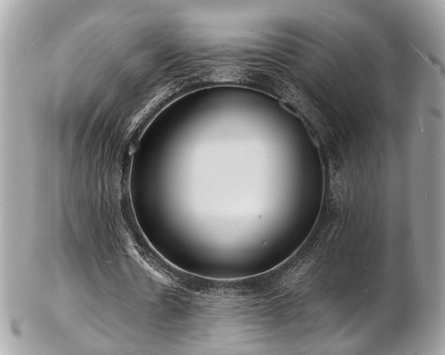 X0000103290530200808291335