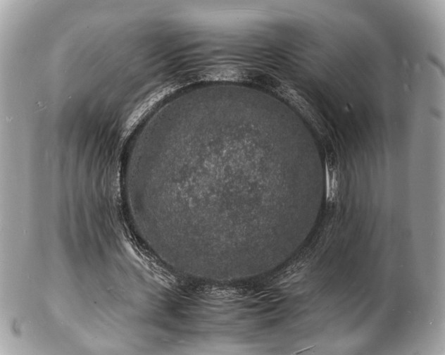 X0000103290531200808291335