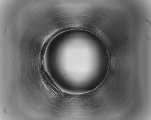 X0000103290532200808291335