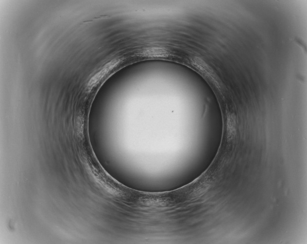 X0000103290533200808291335