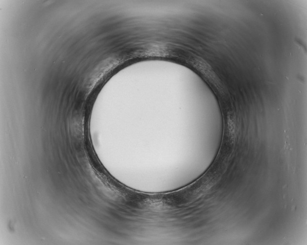 X0000103290534200808291335