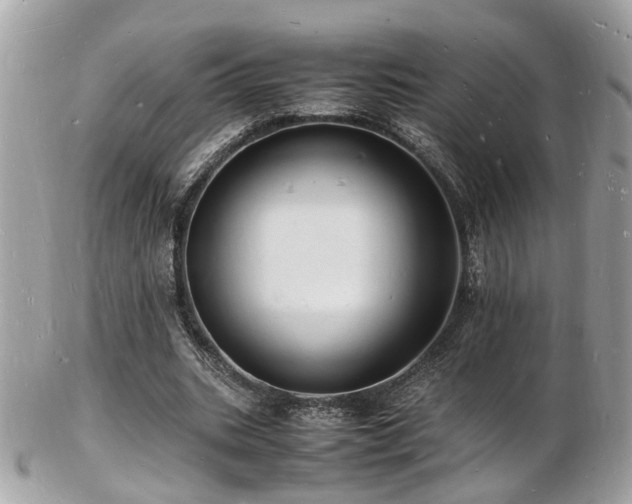 X0000103290535200808291335