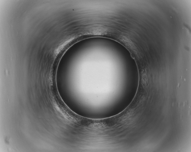 X0000103290536200808291335