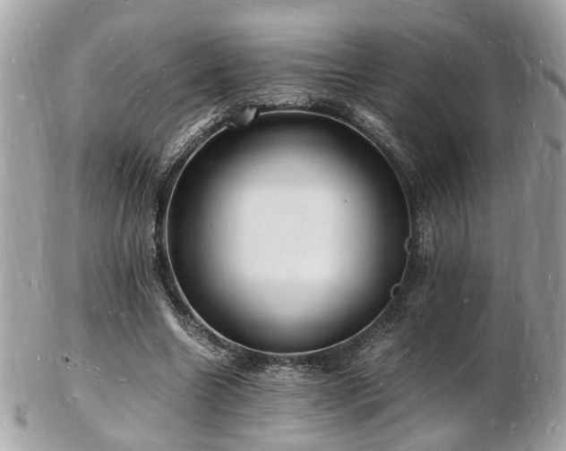 X0000103290538200808291335