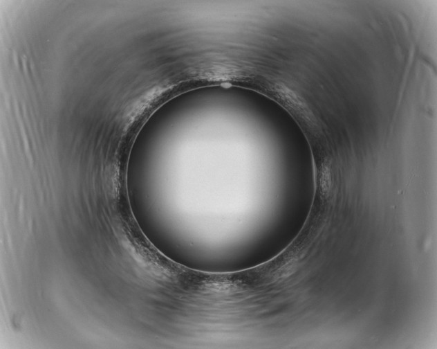 X0000103290540200808291335
