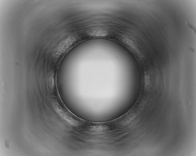 X0000103290541200808291335
