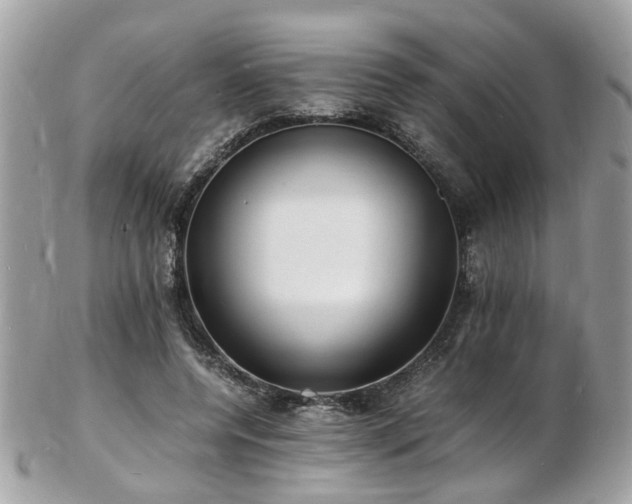 X0000103290544200808291335