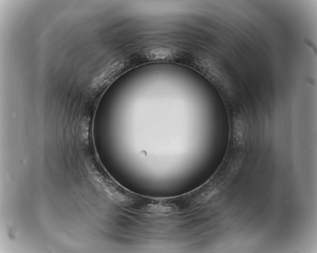 X0000103290545200808291335